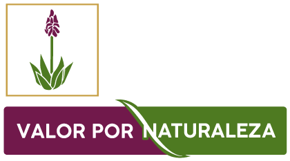 VIVERO LOS CABOS Landscaping